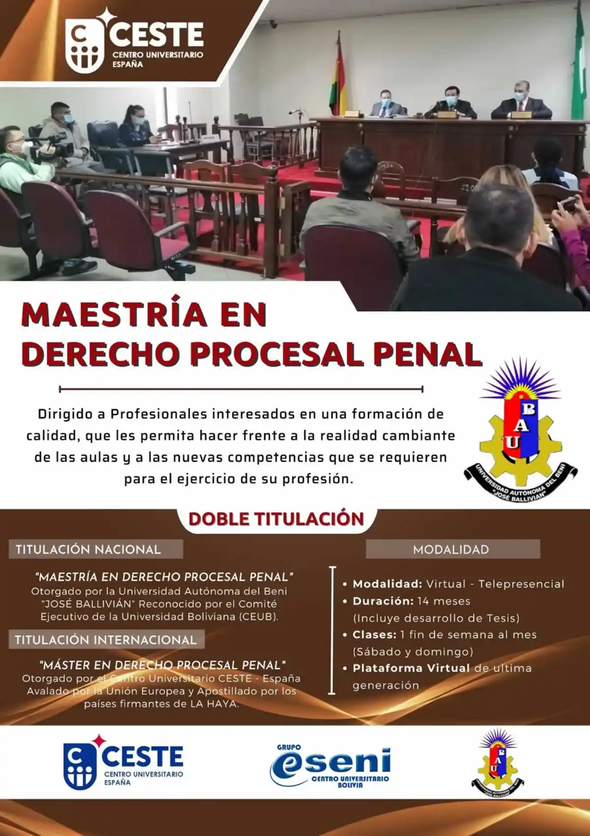Maestria Derecho Procesal Penal