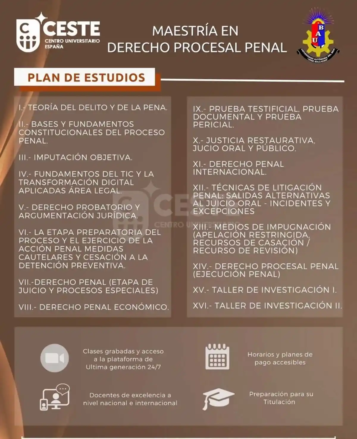 Maestria Derecho Procesal Penal